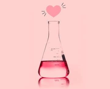 Любовь и химия: что происходит с нами, когда мы влюбляемся - Психология, Интересное, Психологическое развитие